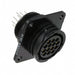 213729-9 by TE Connectivity AMP Connectors - CONNECTOR RECPT FMALE 14POS GOLD SLDR