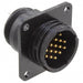 213855-3 by TE Connectivity AMP Connectors - CONNECTOR RECPT MALE 16POS GOLD SOLDER