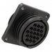 213868-1 by TE Connectivity AMP Connectors - CONNECTOR RECPT HSG FMALE 19POS PNL MT