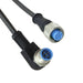 2273122-5 by TE Connectivity AMP Connectors - CABLE 5POS FMALE TO MALE 6.56