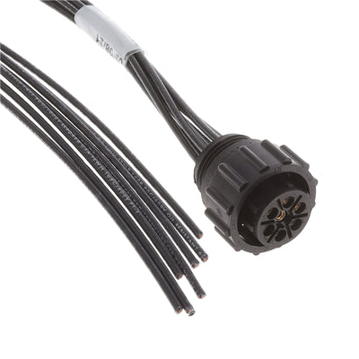 2387101-1 by TE Connectivity AMP Connectors - CABLE CIRC 7POS FMALE 1.64