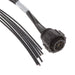 2387101-1 by TE Connectivity AMP Connectors - CABLE CIRC 7POS FMALE 1.64