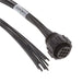 2387116-3 by TE Connectivity AMP Connectors - PLUG CONN CA,STD,SER 1,SZ 13-9,L