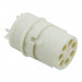 293695-3 by TE Connectivity AMP Connectors - CONNECTOR SSL RECEPTACLE 5POS SOLDER