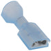 3-520141-2 by TE Connectivity AMP Connectors - CONNECTOR QC RCPT 14-16AWG 0.250