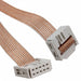310J101-10-CA003 by Cicoil - FLT RIB CBL .050"" 28AWG 10C 3
