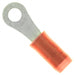 323758 by TE Connectivity AMP Connectors - CONNECTOR RING CIRC 16-22AWG #4 CRIMP