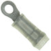 329636 by TE Connectivity AMP Connectors - CONNECTOR RING CIRC 20-24AWG #2 CRIMP
