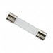 3AG-312.250 by Amprobe - FUSE 250MA 250VAC