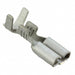 42781-2 by TE Connectivity AMP Connectors - CONNECTOR QC RCPT 14-18AWG 0.205