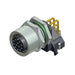 43-02742 by Conec - CONNECTOR PLUG FMALE 12POS GOLD SLDR