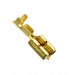 444334-1 by TE Connectivity AMP Connectors - CONNECTOR QC RCPT 18-22AWG 0.250