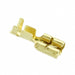 444335-3 by TE Connectivity AMP Connectors - CONNECTOR QC RCPT 13-17AWG 0.250
