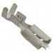 5-160430-6 by TE Connectivity AMP Connectors - CONNECTOR QC RCPT 15-20AWG 0.187