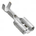 5-160506-8 by TE Connectivity AMP Connectors - CONNECTOR QC RCPT 15.5-20AWG 0.250