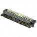 51760-10402404CBLF by Amphenol ICC (FCI) - CONNECTOR RECPT BLADE PWR 32P EDGE MNT