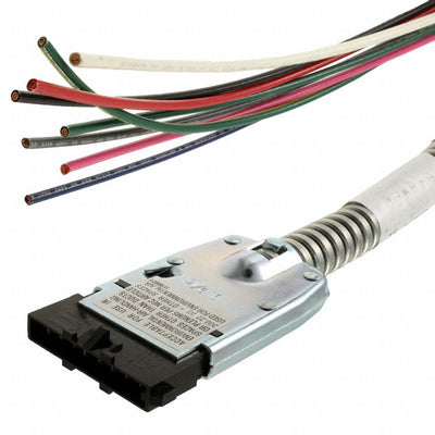 555856-3 by TE Connectivity AMP Connectors - CA ASSY,PWR ENT,8W,48