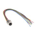 6-2271137-2 by TE Connectivity AMP Connectors - CABLE 12POS FMALE TO WIRE 0.66