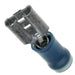 640905-1 by TE Connectivity AMP Connectors - CONNECTOR QC RCPT 14-16AWG 0.250