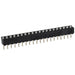 643652-3 by TE Connectivity AMP Connectors - CONNECTOR SOCKET SIP 20POS TIN