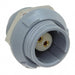 8P1P002200GRB01 by NorComp Inc. - CONNECTOR RECPT FMALE 2P GOLD SLDR CUP