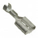 925603-2 by TE Connectivity AMP Connectors - 250 FASTIN-ON REC