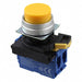 A22NN-MPA-NYA-G101-NN by Omron Automation and Safety - PUSH SWITCH DPST-NO 10A 120V