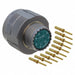ALM06FD13-98P(072) by Amphenol Industrial Operations - CONNECTOR PLUG MALE 10POS GOLD CRIMP