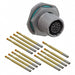 ALM07FD11-35S(072) by Amphenol Industrial Operations - CONNECTOR RECPT FMALE 13POS GOLD CRIMP