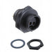 BB-02RMFS-QC8001 by Amphenol LTW - CONNECTOR RECPT FMALE 2P GOLD SLDR CUP