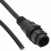 BD-05AMMM-QL8D01 by Amphenol LTW - CABLE 5POS MALE TO WIRE 3.28