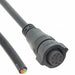 BD-06AFFM-QL8D01 by Amphenol LTW - CABLE 6POS FMALE TO WIRE 3.28
