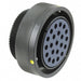 CIRHSE06T36A22SCNF80M32V0 by TE Connectivity AMP Connectors - CONNECTOR PLG HSG FMALE 22POS INLINE