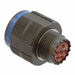 D38999/26WB98SNLC by Amphenol Aerospace Operations - CONNECTOR PLUG HSG FMALE 6POS INLINE