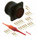 D38999/20WE26PN by Amphenol Aerospace Operations - CONNECTOR RECPT MALE 26POS GOLD CRIMP