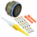 D38999/26WG11SN by TE Connectivity Deutsch Connectors - CONNECTOR PLUG FMALE 11POS GOLD CRIMP