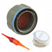 D38999/26WH55PN by TE Connectivity Deutsch Connectors - CONNECTOR PLUG MALE 55POS GOLD CRIMP