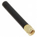 DELTA14/SMAM/S/RP/11 by Siretta Ltd - RF ANT 2.4GHZ WHIP STR SMA MALE