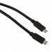 DX07518S20K18747 by JAE Electronics - CABLE C PLUG TO C PLUG 6.56