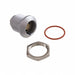 EGG.1K.306.CLL by LEMO - CONNECTOR RECPT FMALE 6P GOLD SLDR CUP