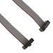 FFMD-05-T-02.00-01-N by Samtec Inc. - CABLE ASSEM .05"" 10POS M-F 2