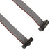 FFMD-05-T-06.00-01-N by Samtec Inc. - CABLE ASSEM .05"" 10POS M-F 6