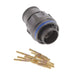 FGN.2M.310.XLBT by LEMO - CONNECTOR PLUG MALE 10POS GOLD CRIMP