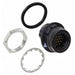 HR30-7R-12PD(31) by Hirose Electric Co Ltd - CONNECTOR RECPT MALE 12POS GOLD SOLDER