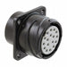 JL05-2A20-29SC-F0-R by JAE Electronics - CONNECTOR RECPT HSG FMALE 17POS PNL MT