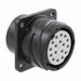 JL05-2A20-29SCW-F0-R by JAE Electronics - CONNECTOR RECPT HSG FMALE 17POS PNL MT