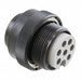 JL05-6A22-23SC-F0-R by JAE Electronics - CONNECTOR PLG HSG FMALE 8POS INLINE