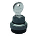 1.30.275.321/0100 by RAFI USA - CONFIG SW BODY KEYLOCK NON-ILLUM