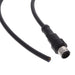M12A-08BMMM-PL8D03 by Amphenol LTW - CABLE 8POS MALE TO WIRE 9.84