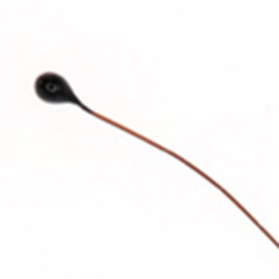 MC65F103B by Amphenol Thermometrics - THERMISTOR NTC 10KOHM 3969K BEAD